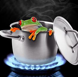 Physician Burnout - Avoiding the Frog in the Pot Syndrome